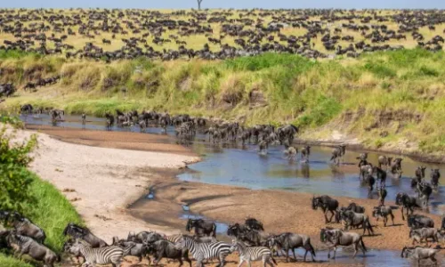 Kenya private safari