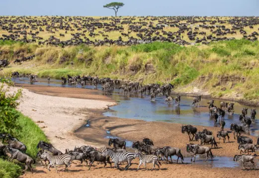 Kenya private safari